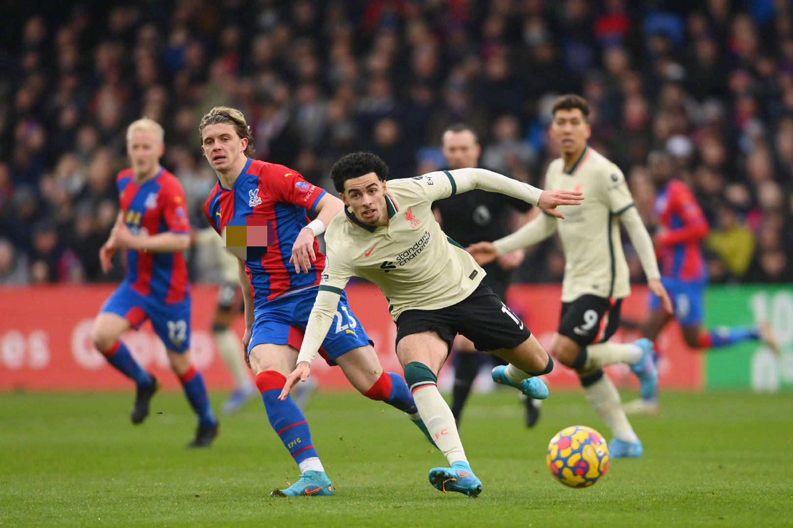 孙杨所带动 孙杨所带动